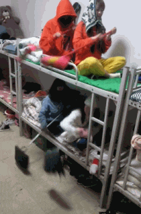 套路|三轮大妈转弯太任性了，车主神操作...