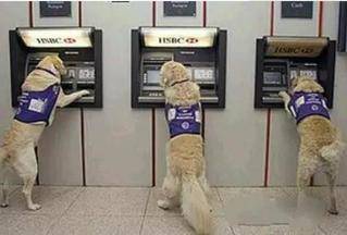 开心一刻|开心一刻: 闺蜜嫁给一个富二代，婚礼那天......