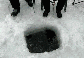 妹子|搞笑GIF: 小伙子，你们这样的行为，活该你们单身！