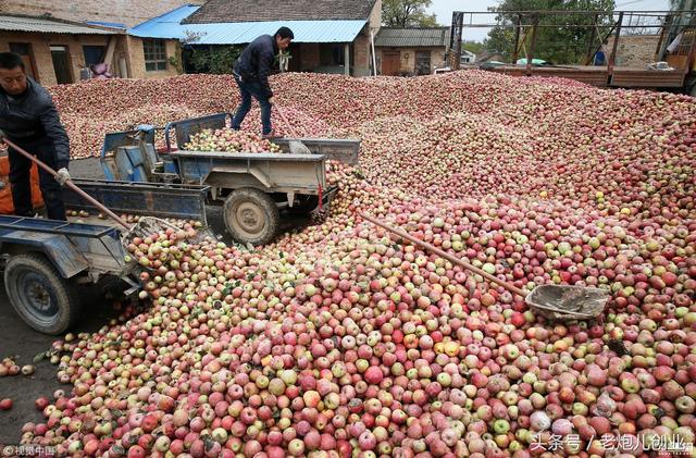 安吉丽娜|太凶残了国外反人类一键素颜APP千万不要在国内上架心疼安吉丽娜