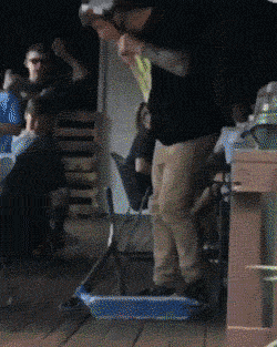 为了|搞笑gif：猫星人为了吃的也是拼了