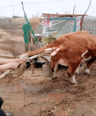 准备|搞笑GIF:老师5秒之内到达现场,请做好准备!