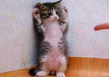 老婆|内涵段子合集 你那点钱怎么养我