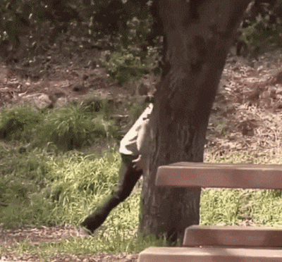 特殊|搞笑GIF:那么……有没有一种特殊的用法呢?