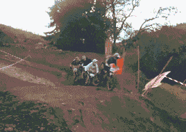 就是|第二张图太魔性了，我跟着这条狗子笑了起来！