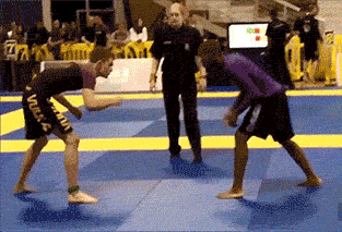 哥们|搞笑GIF：拍照的老师要怒了