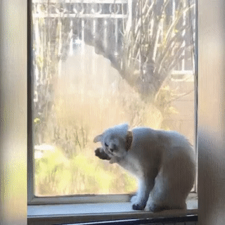 孩子|搞笑GIF图:几个妹子玩的游戏80后都玩过,太有画面感了