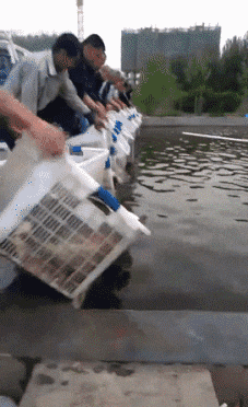 东西|搞笑GIF:你,站住。。。说的就是你,