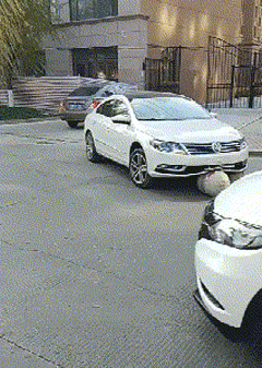 妹子|搞笑GIF趣图:姑娘你喝了多少酒才能醉成这样?这下丢人丢大了!