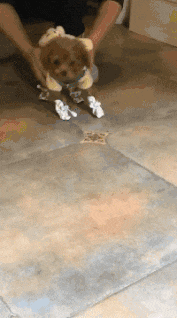 妹子|搞笑GIF:妹子什么事笑得这么开心