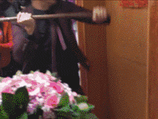 妹子|搞笑GIF：狗：你快放开我，不然我叫了！