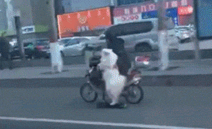 巧妙|哥们伪装的不错啊很巧妙，可是眼睛还是出卖了你