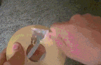 着急|爆笑GIF图：你说你那么着急干什么，我又没说不让你吃。