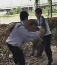 乌贼|搞笑GIF:终于见识到了乌贼的变身了,瞬间就和环境融为一体了呢!