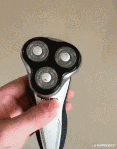 低调|驴:主人,咱这又不是第一次进城了,能低调点吗!