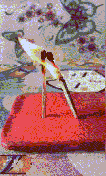 搞笑|搞笑GIF：你果然外面有狗了