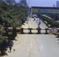 捅马蜂窝|搞笑GIF:我想知道他在干嘛?