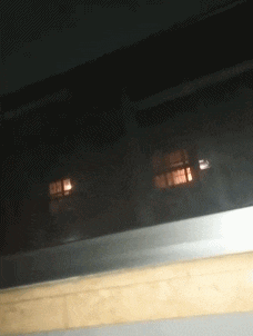 恩爱|搞笑gif：你们秀恩爱就算了，为什么还要伤害我