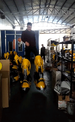 段子|搞笑gif：自从女朋友学会了射剑，我就从来没放心过