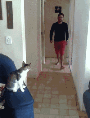 搞笑|搞笑gif,个个都是人才,说话又好听,超喜欢在里面