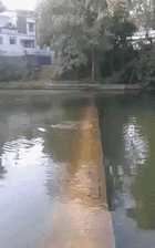 衣服|GIF搞笑趣图：你这床下面怎么藏了这么多的钱啊。