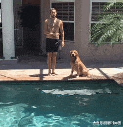 救生衣|搞笑GIF: 说好的一辈子呢,跳个水你就把我抛弃了!