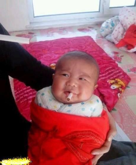 似的|搞笑图文:晚上就等着你媳妇跟你拼命吧