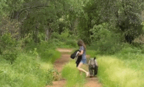 非洲|原来非洲的领导们也可以这么搞笑...