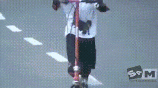 狮子狗|搞笑GIF：哥，我服你