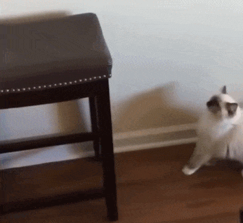 驾照|搞笑GIF：快点拿开，你熏到我了