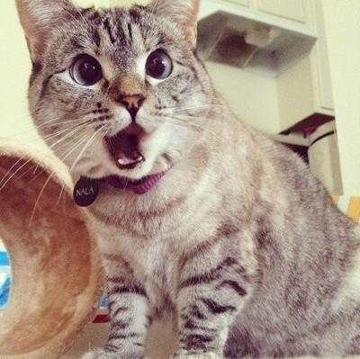 蜘蛛|龙弟弟搞笑段子：新单位上班