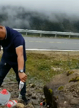 段子|搞笑GIF:看我的手速可以手抓风扇