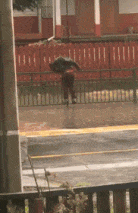 哥们|搞笑GIF趣图：皮皮豹我们走，去找一个男朋友