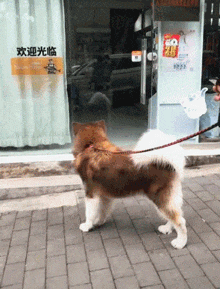 就是|搞笑GIF：是她，就是这个女的我记得给我打过针