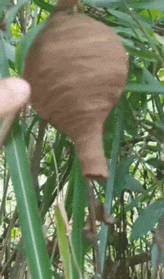 老人|搞笑gif：小姐姐，你看到了什么，这汤你还喝吗