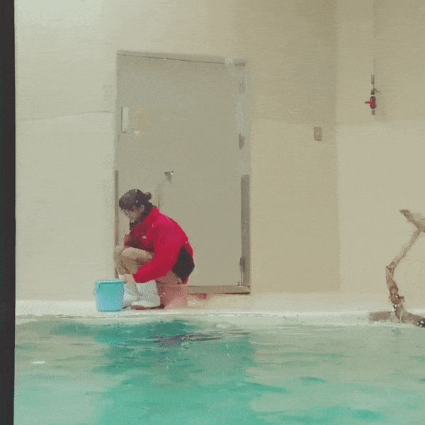 真人|GIF趣图: 看了好久, 到底是真人还是3D? ?