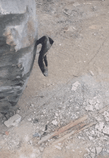 庞然大物|搞笑gif: 这么个庞然大物,最终还是折在了高跟鞋上了