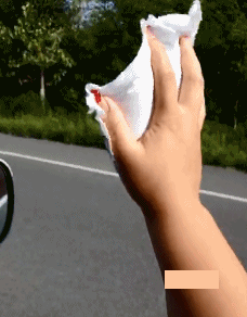 父亲|搞笑动图：狗咬鸡蛋，多管闲事