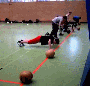 仓鼠|搞笑GIF: 我妈就经常这样