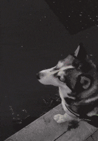 喷壶|搞笑趣图:今天去理发,看到理发师的动作我心里有种奇怪的感觉