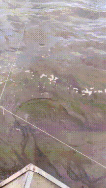 草地|搞笑GIF：这草地有点刺激啊。。。