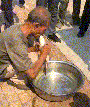 大爷|搞笑gif动图:大爷,你给鱼做人工呼吸,还是第一次见。