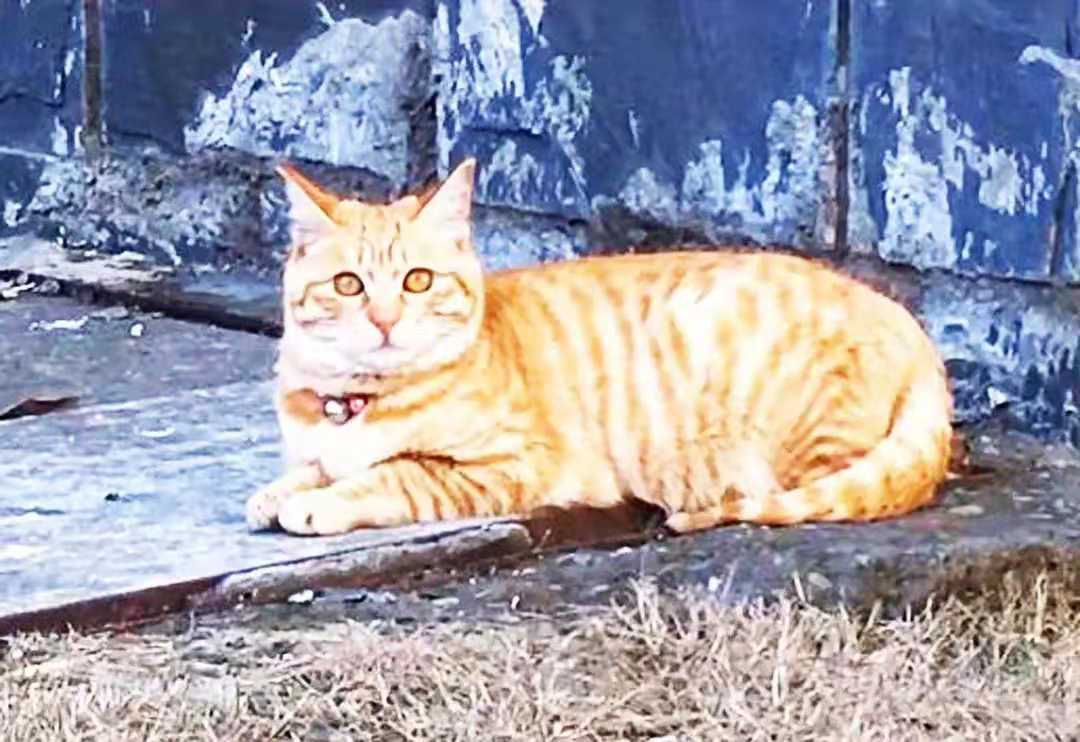 大夫|开心一刻笑话：突然，娃在下坡时，摔倒了，然后马上爬起来