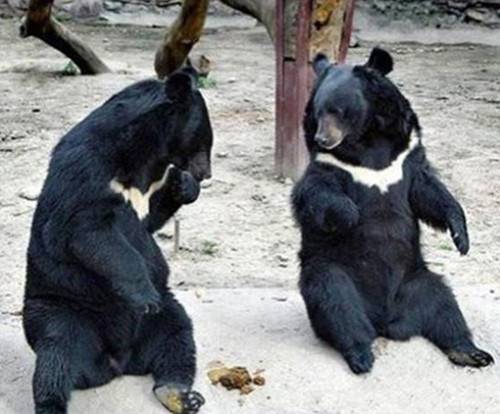 妹妹|欢笑集锦:年轻的时候也是这个味