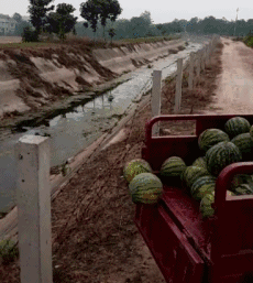 230_257gif 动态图 动图