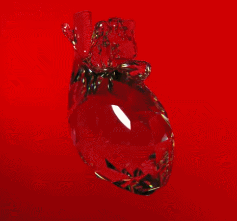 大起大落|人生大起大落, 真是太刺激了!