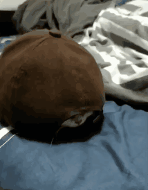 订婚|搞笑GIF：怎么少了一根？