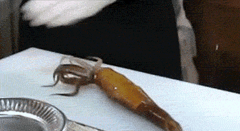 护理|搞笑GIF图片: 理发店里三哥的至尊会员面部护理