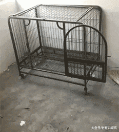 婚后|今天我也让你体验一下家被拆的感觉！