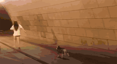 保暖|爆笑GIF：冬天马上到了，得多准备一些保暖的东西